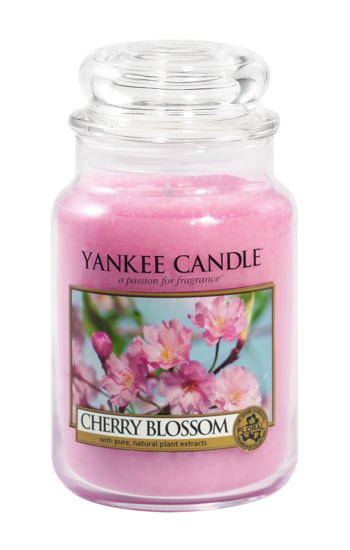 Yankee Candle Cherry Blossom Scented Large Jar Candle - 22oz Classic Single Wick, 110+ Hours Burn Time - Perfect for Home Decor, Relaxation & Romantic Ambiance