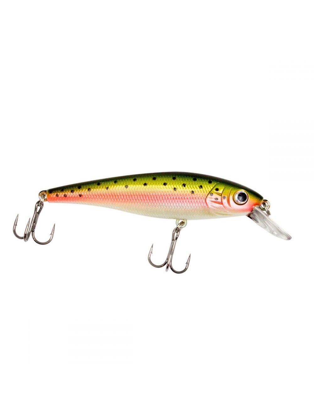 Rainbow Trout