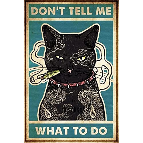 cat 8