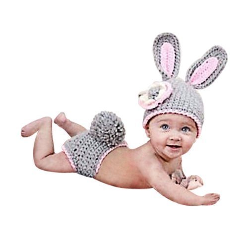 Grey Rabbit