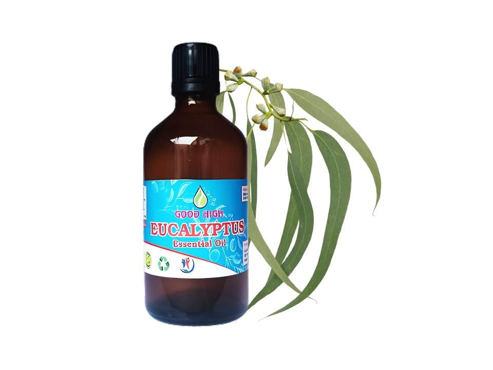 100% Pure Natural Organic Eucalyptus Essential Oil - Undiluted & Therapeutic Grade for Aromatherapy, Massage & Skin Care - 50 mL Bottle for Relaxation & Wellness