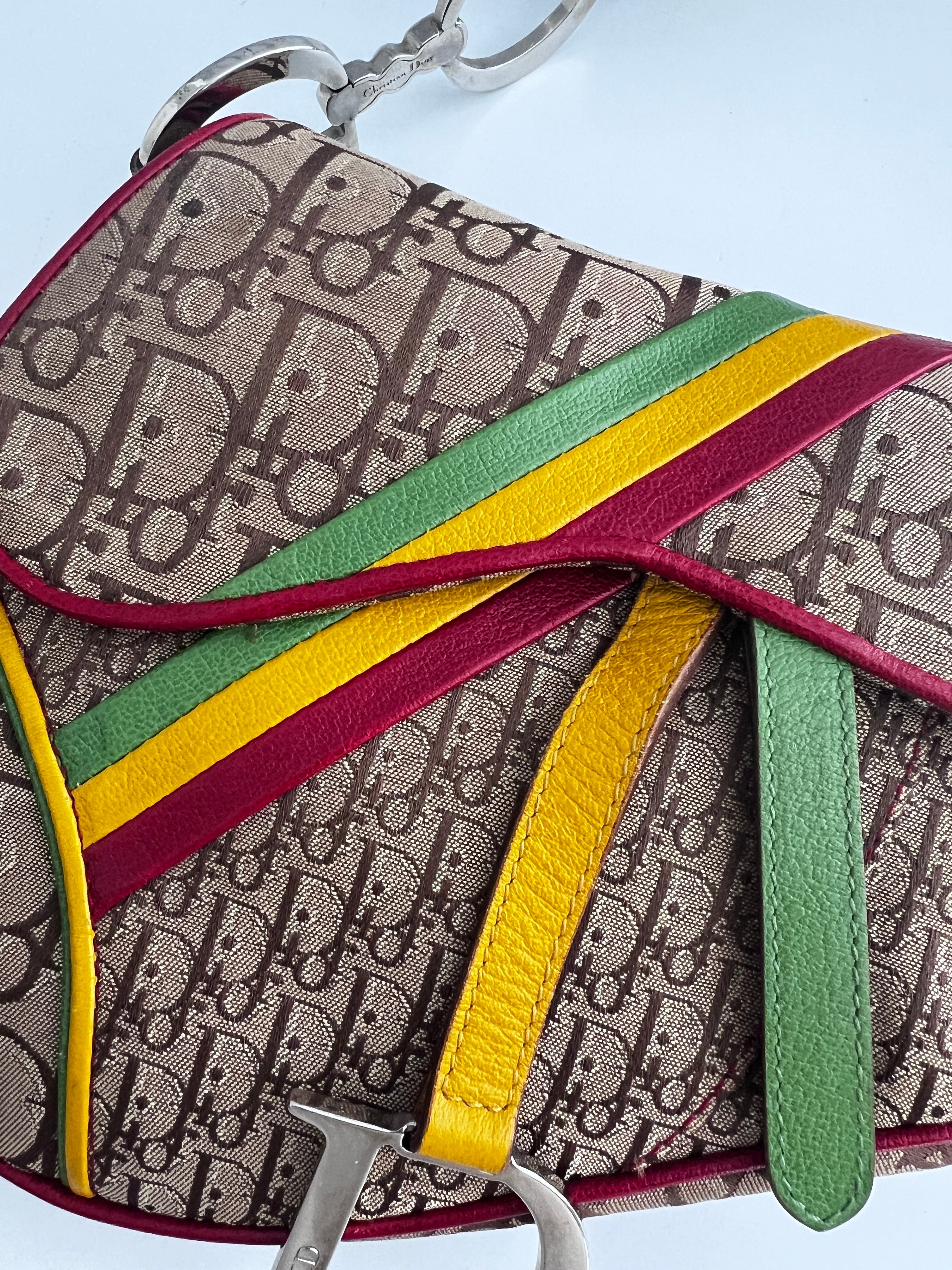 Dior Rasta Saddle Bag - Luxury Designer Handbag for Women | Fashionable Crossbody & Shoulder Bag for Parties, Travel & Everyday Use