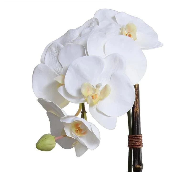28 Faux Phalaenopsis Orchids in White Ceramic Bowl - Artificial Silk Orchid Flowers for Home Decor, Wedding Centerpieces & Office Table Decorations
