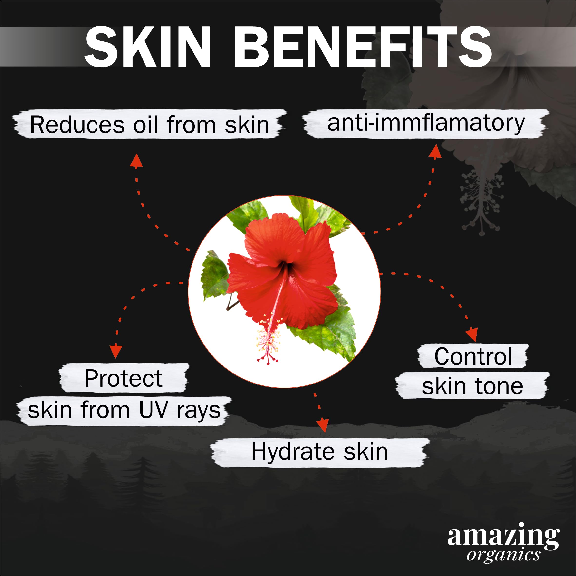 Organic Hibiscus Flower Powder for Face, Hair & Skin Care - Natural Anti-Aging, Acne Treatment & Hair Growth Solution | DIY Beauty Masks, Smoothies & Herbal Remedies