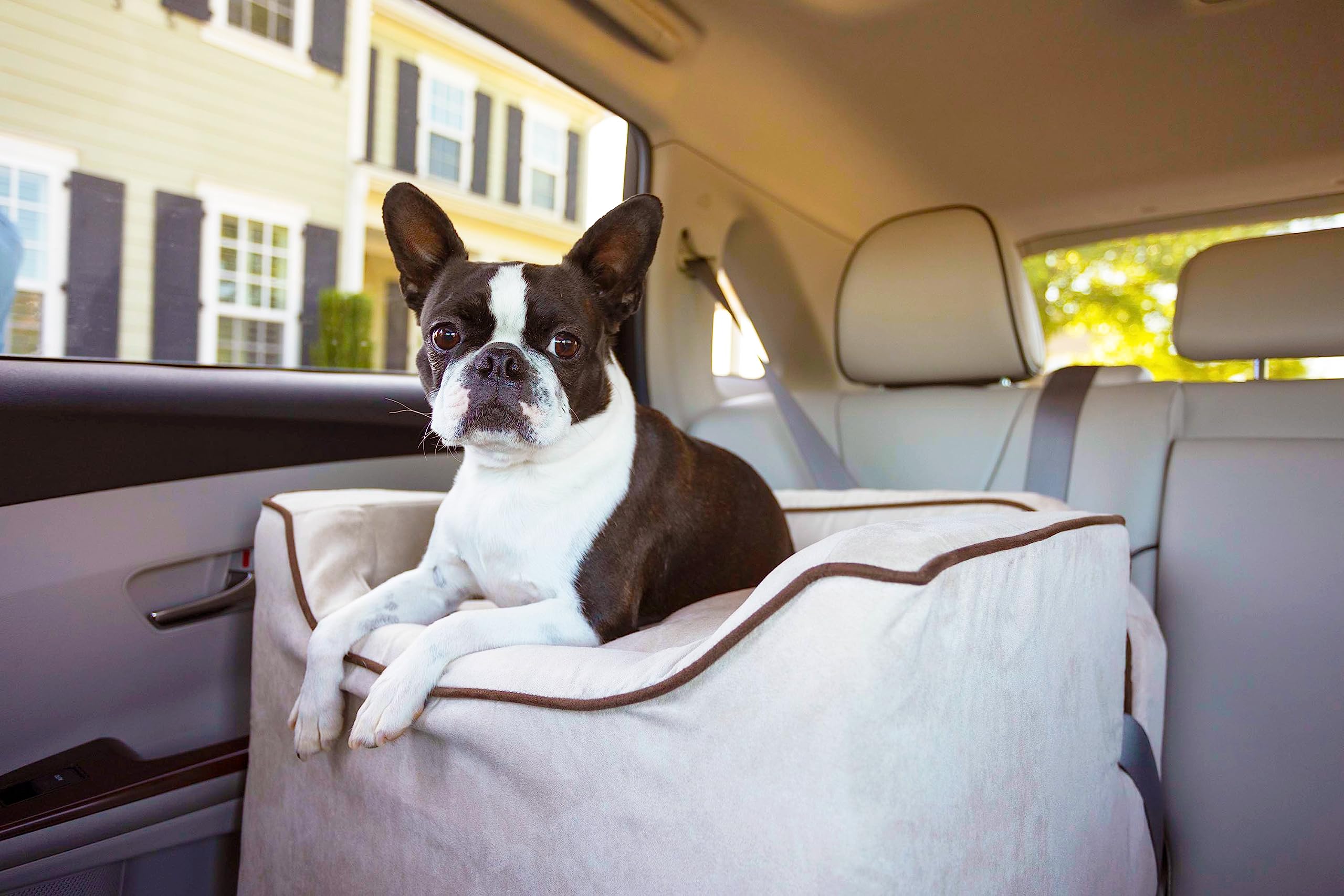 Snoozer Dog Car Seat for Small Dogs 5-15 lbs - Washable Pet Booster with Harness - Perfect for Travel & Motion Sickness Relief