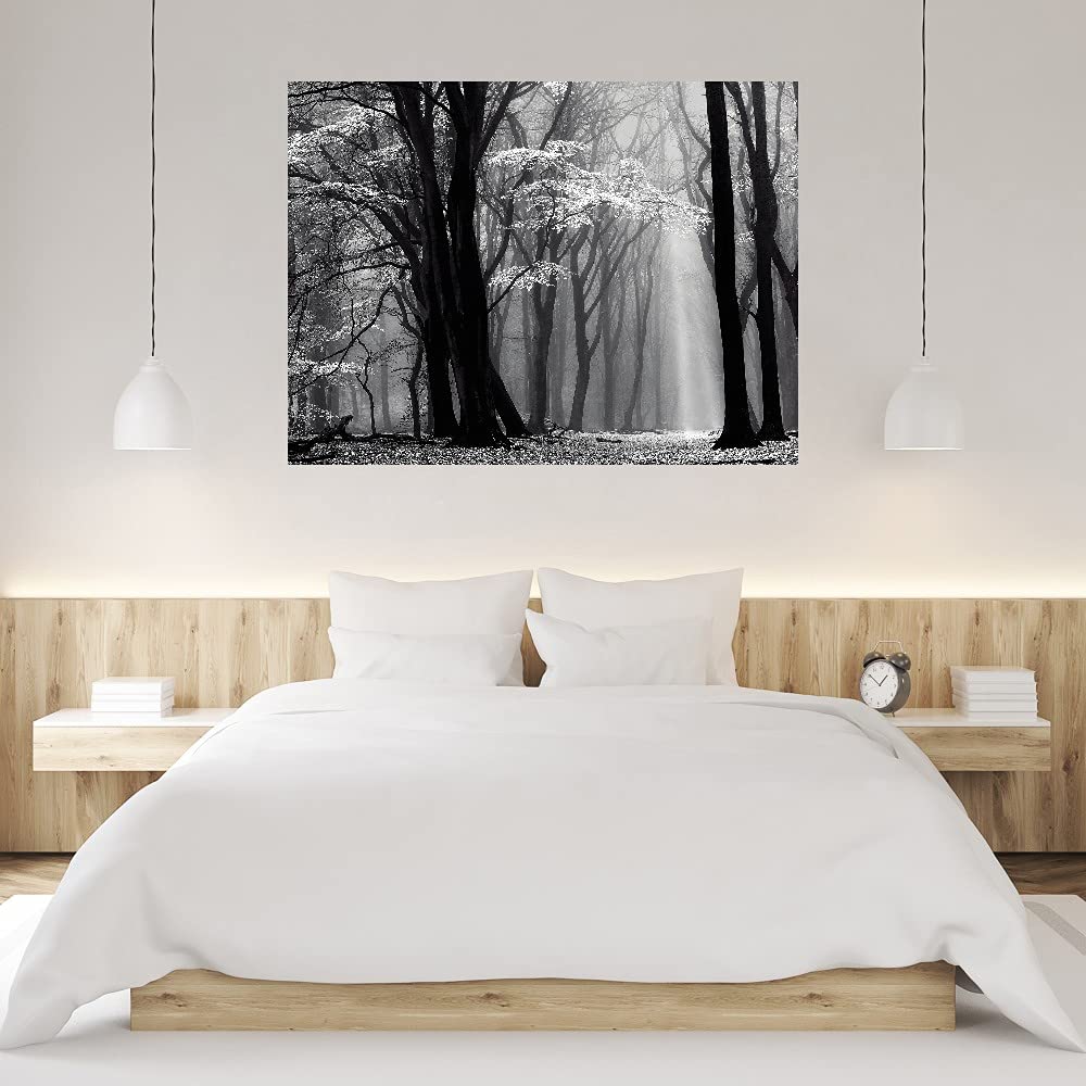 Winter Landscape Canvas Wall Art - 32x24 Inch Large Framed Painting for Bedroom & Living Room Decor | Scenic Nature Artwork by Lars Van de Goor | Perfect for Home, Office & Gift Giving