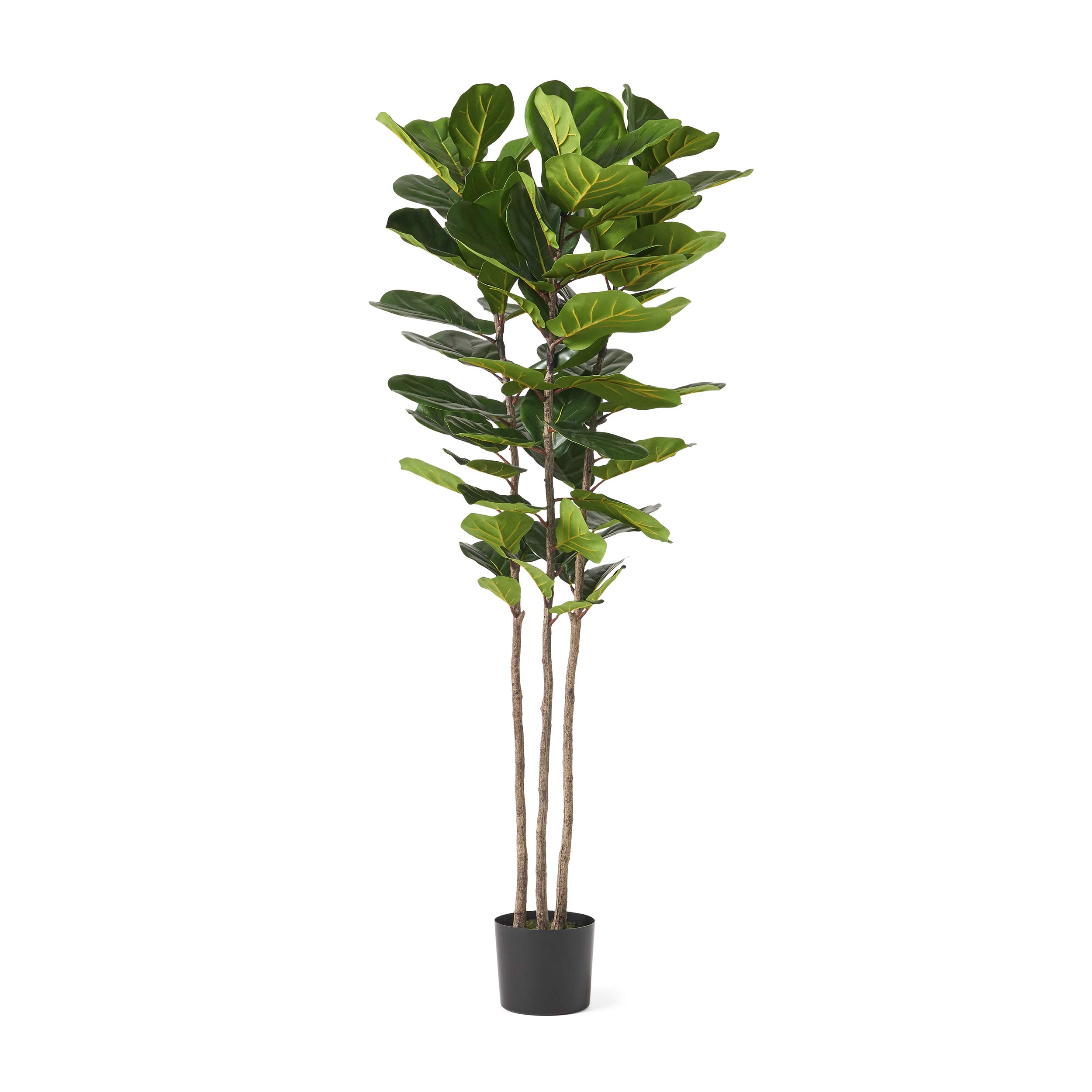 Christopher Knight Home 313744 6' x 2' Artificial Faux Plants - Realistic Green Indoor/Outdoor Decor for Living Room, Office, Patio & Garden
