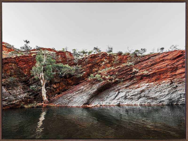 By the Billabong Canvas Art Print - Australian Beach Landscape Wall Decor for Living Room, Bedroom & Office