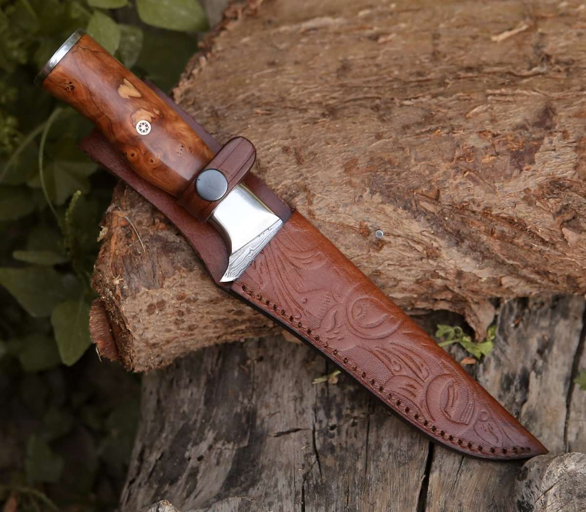 Premium Concord Damascus Fillet Knife with Exotic Olive Wood Handle - Sharp Fishing Knife for Filleting Fish, Slicing Meat & Outdoor Cooking - Perfect for Chefs, Anglers & Camping Enthusiasts