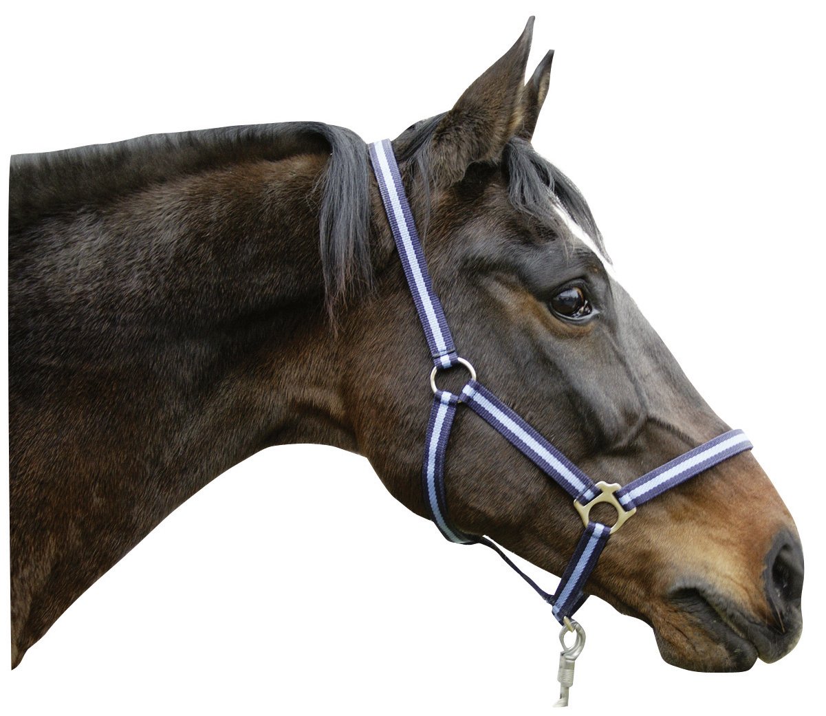Kerbl Hippo Head Collar for Horses - Durable & Adjustable Pet Training Halter for Riding, Grooming & Show | Perfect for Equestrian Use & Stable Management