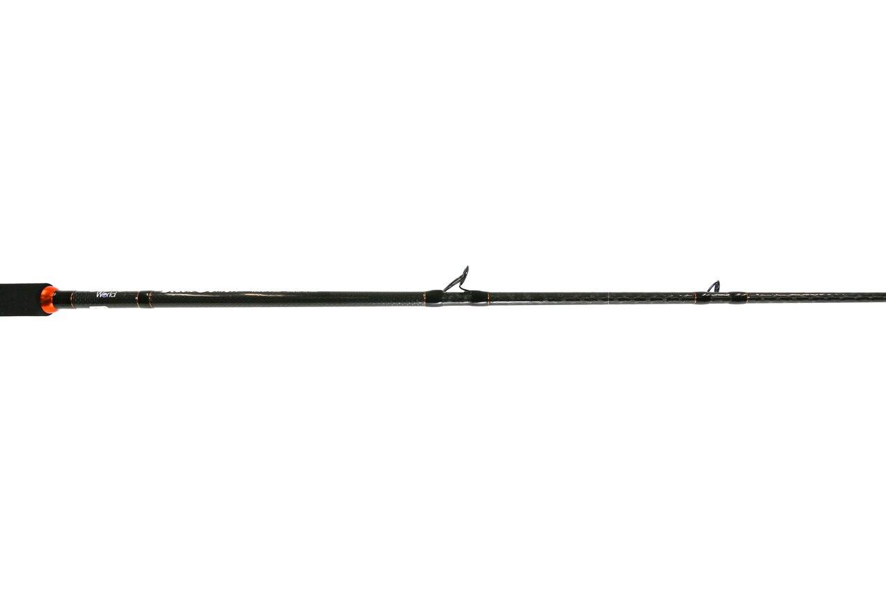 Jigging World Black Demon Fishing Rods - High Performance Saltwater & Freshwater Fishing Rod for Offshore, Surf, and Pier Angling