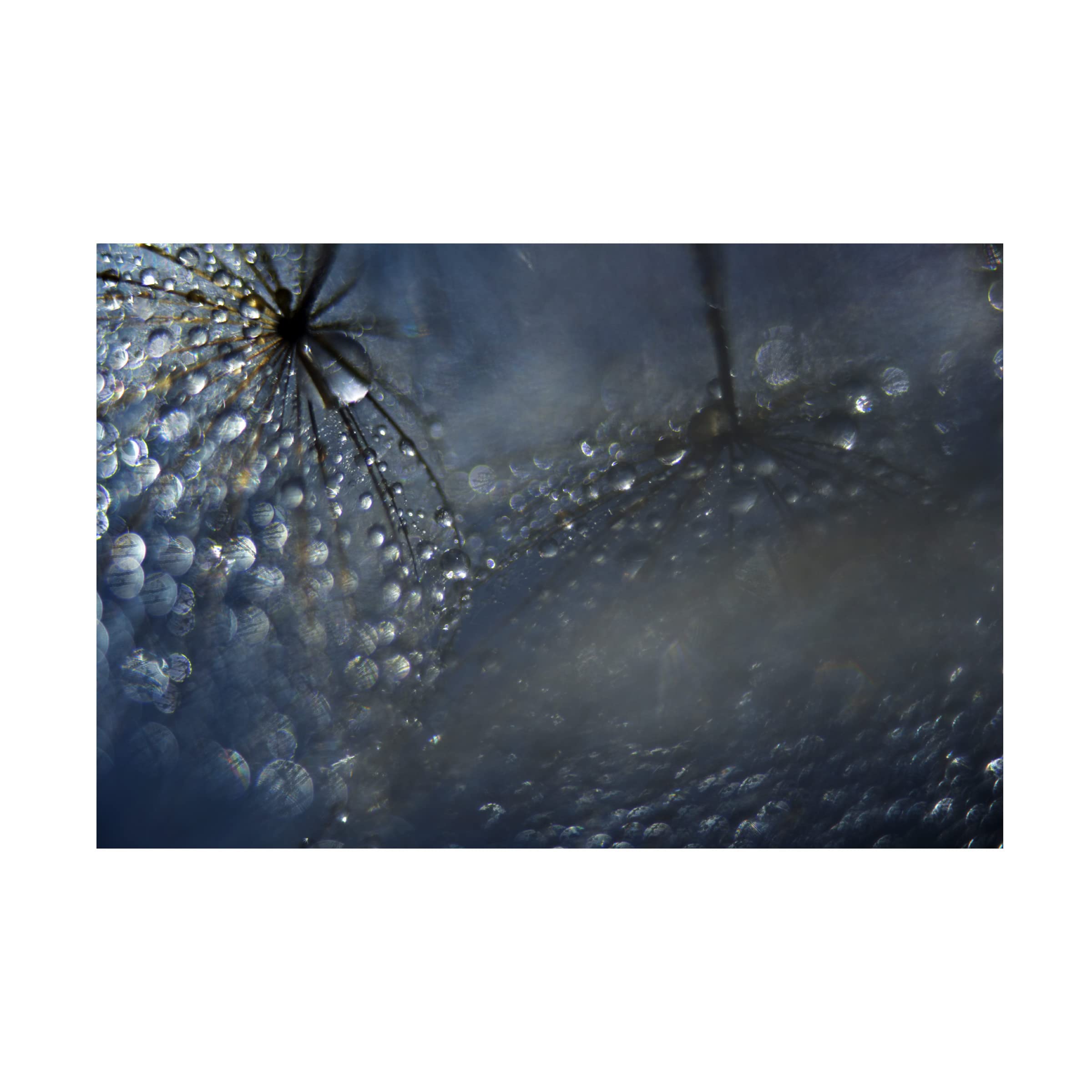 Heidi Westum 'Reflections Of A Late Evening' Canvas Wall Art Print - Modern Home Decor for Living Room, Bedroom & Office