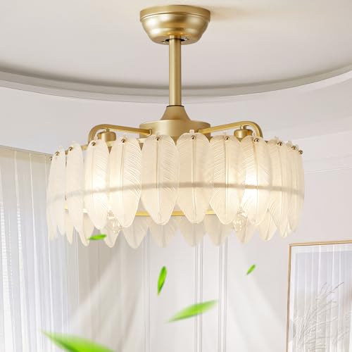20 Inch Glass Ceiling Fan with Light