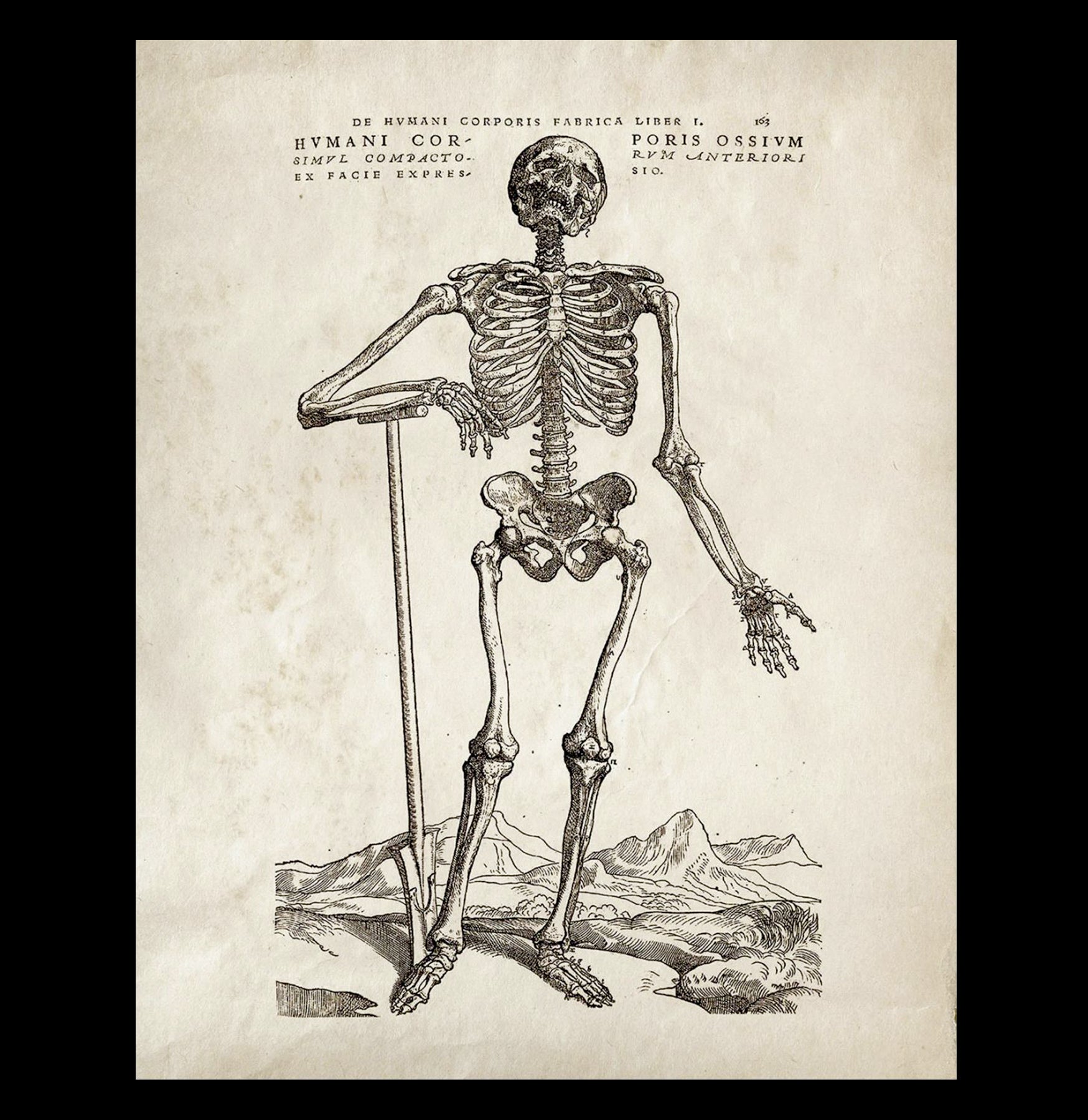 Vintage Skeleton Standing Print Wall Art - Gothic Home Decor for Halloween, Gothic Bedroom & Living Room - Perfect for Spooky Party Decorations & Horror Theme Rooms