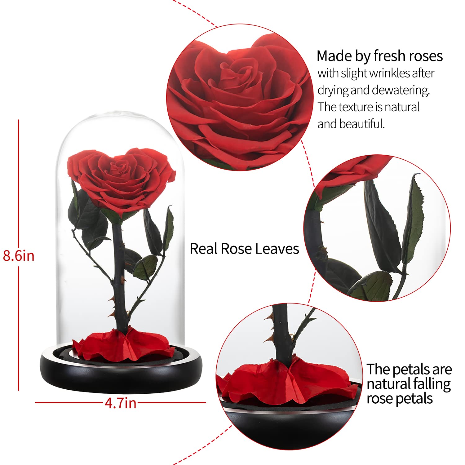 Forever Preserved Real Rose Flower in Glass Dome - Romantic Birthday, Valentine's Day, Mother's Day, Christmas & Anniversary Gift for Women (Red) - Perfect for Home Decor, Wedding Centerpieces & Special Occasion Gifts