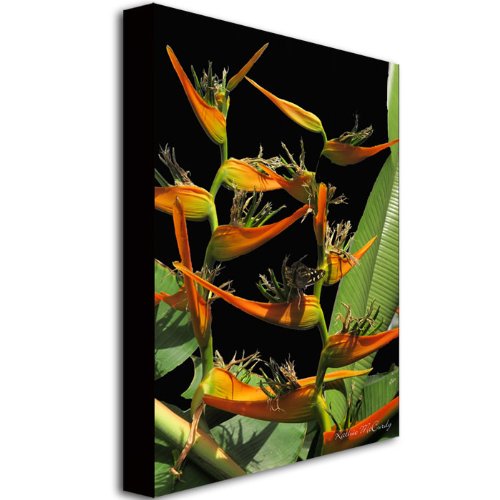 Trademark Fine Art Tropical Paradise Canvas Wall Art by Kathie McCurdy - 30x47 Inch Beach Landscape Painting for Living Room, Bedroom & Office Decor