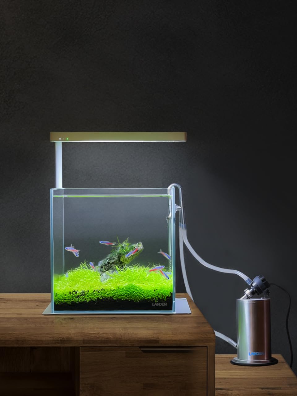 Premium 20 Gallon Cube Rimless Low Iron Glass Aquarium Tank - 7.8×7.8×7.8 Inch (20x20x20cm) Clear Betta Fish Tank with Nano Foam Mat - Perfect for Home Office Desktop, Small Fish Breeding & Aquatic Plant Display