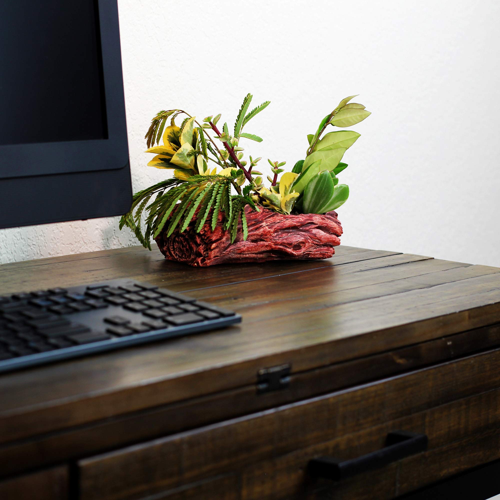 Ceramic Wood Plant Pot - Indoor Wood Planter for Succulents & Small Plants | Unique Log Planter with Natural Knot Design (Redwood) - Perfect for Home Decor, Office Desk & Gift Ideas