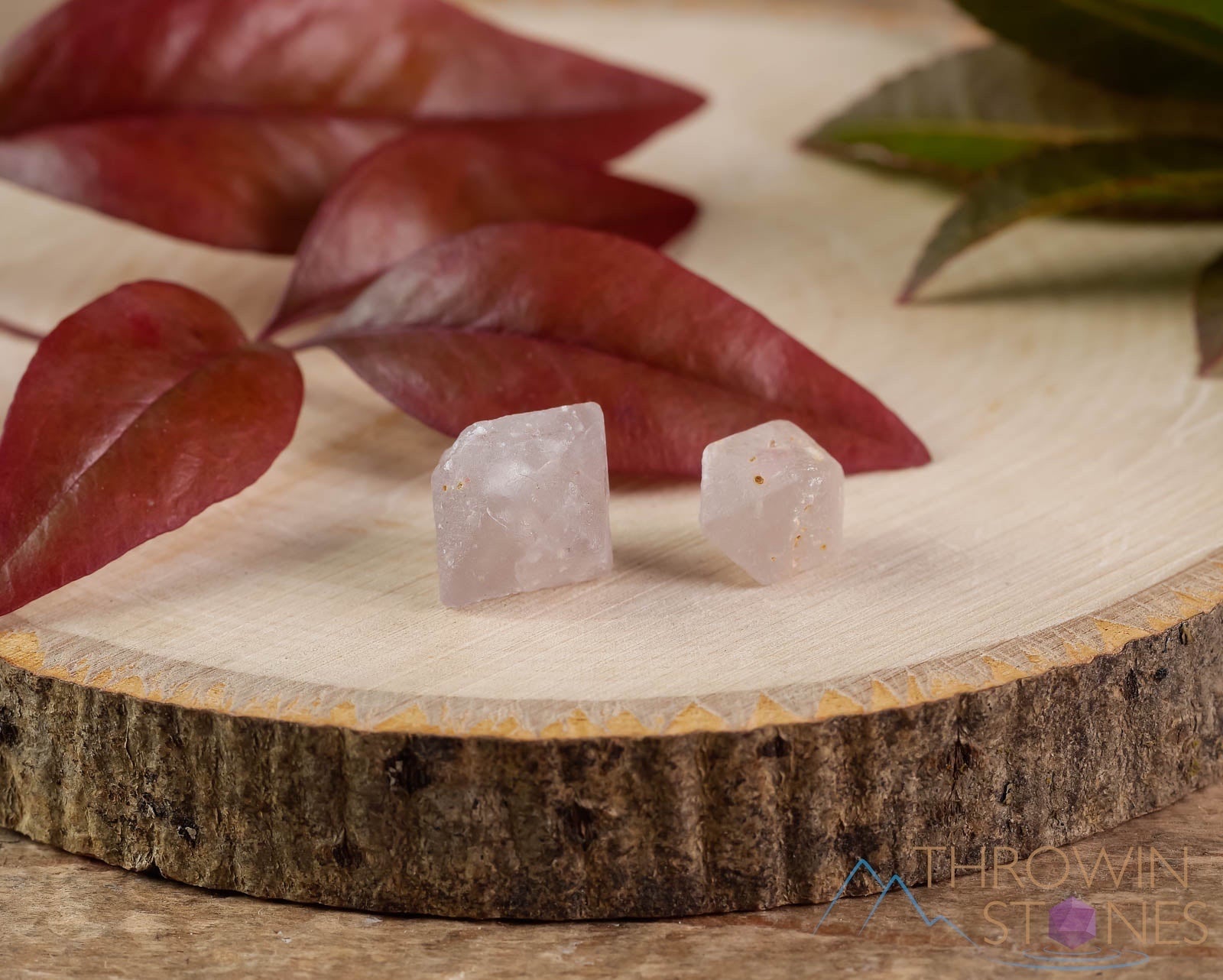 BETA QUARTZ Bipyramid Crystal - Natural Raw Stone for Metaphysical Healing, Sacred Geometry Collection (E1593) | Perfect for Meditation, Energy Work & Spiritual Decor