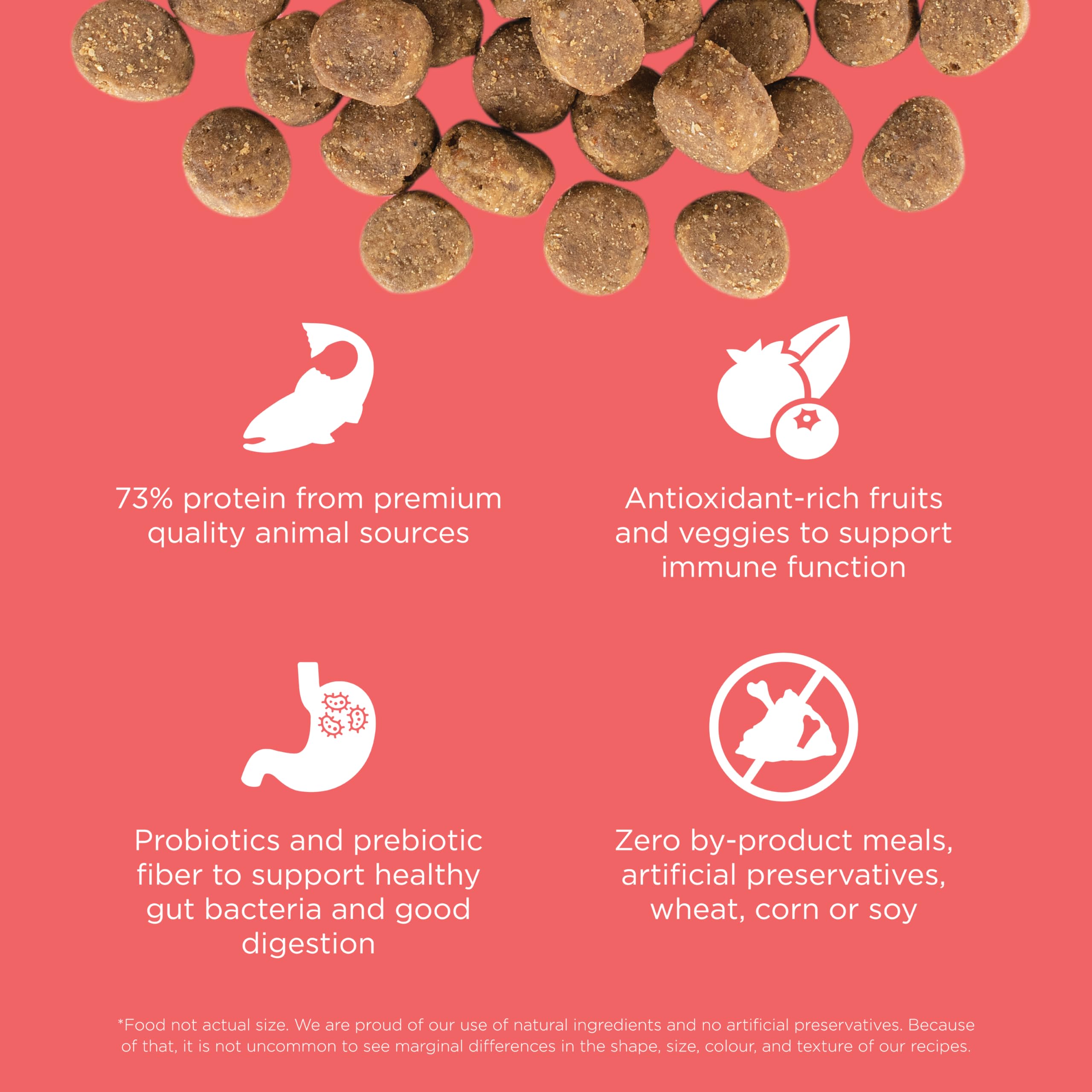 Go! Solutions Carnivore Grain-Free High Protein Dry Dog Food - Salmon & Cod Recipe, 12lb Bag for Adult Dogs - Perfect for Active Pets & Sensitive Stomachs