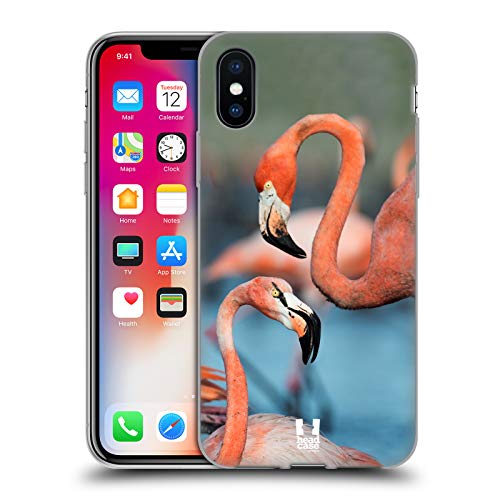 Two Great Flamingos