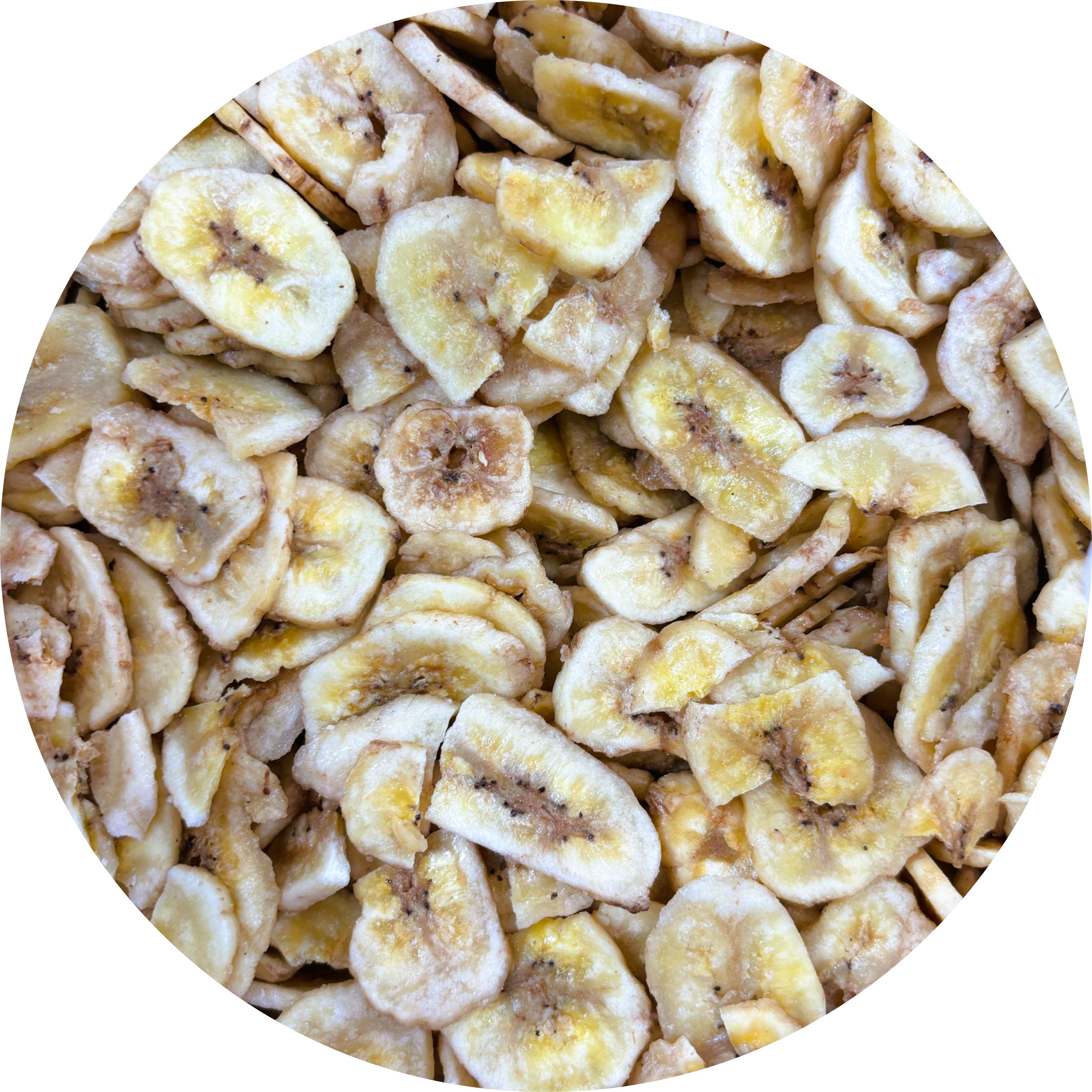 Jack's Chips Banana Unsweetened | 14lb Bulk Pack | Healthy Snacks for Kids, Vegan Diet & On-the-Go Lifestyle