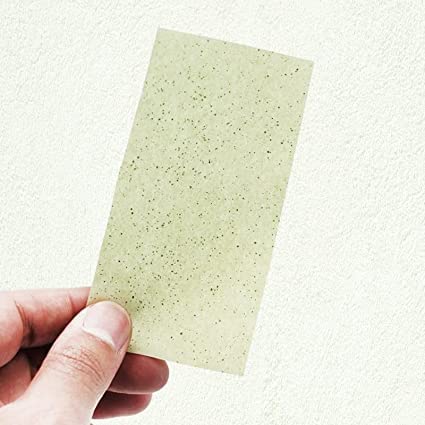 Premium Green Tea Oil Absorbing Sheets for Face - 100 Count | Matte Blotting Papers for Oily Skin Care | Unisex Facial Tissues for Women & Men | Perfect for Makeup Touch-Ups & On-the-Go Shine Control