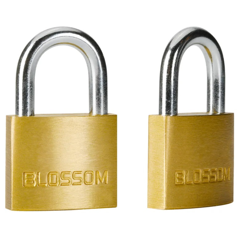 20mm Stainless Steel Padlock - Heavy Duty Security Lock for Gates, Lockers & Toolboxes - Weatherproof & Rustproof - Ideal for Outdoor & Industrial Use