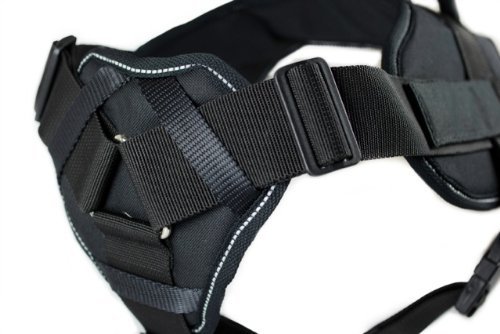 Dean & Tyler DT Fun Therapy Dog Harness with Padded Chest - Adjustable Medium (28-34 Inch Girth) Reflective Black Vest for Service Dogs, Emotional Support & Training - Perfect for Walks, Public Access & Outdoor Adventures