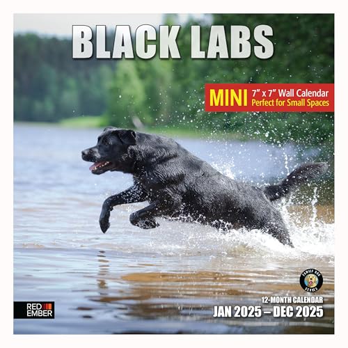 05A - Black Labs