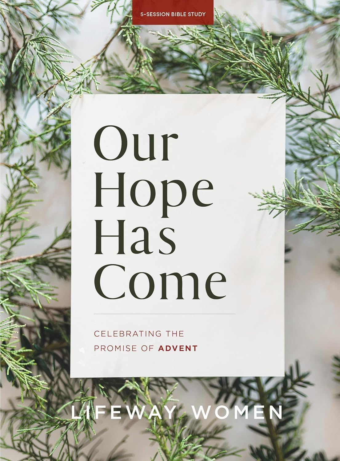 Bible Study Book: Celebrating Advent Promise for Christmas Devotion