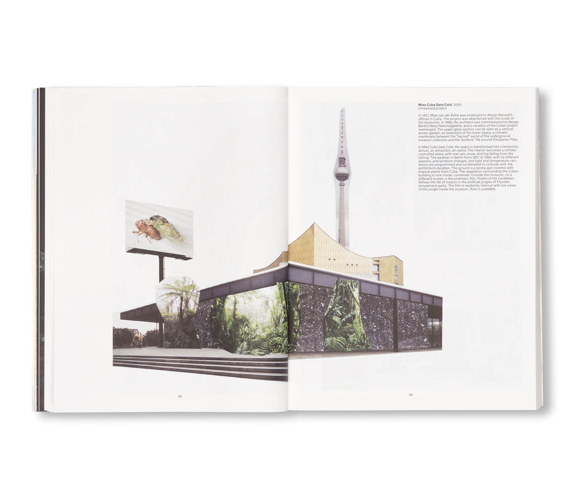 LIMINAL by Pierre Huyghe - Contemporary Art Book for Collectors & Enthusiasts | Perfect for Home Decor, Gallery Displays & Art Lovers