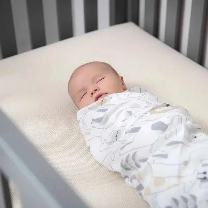 Naturepedic Organic Crib Mattress - 2 Stage Breathable Baby Mattress for Safe & Comfortable Sleep | Non-Toxic, Hypoallergenic | Perfect for Nursery & Daycare Use