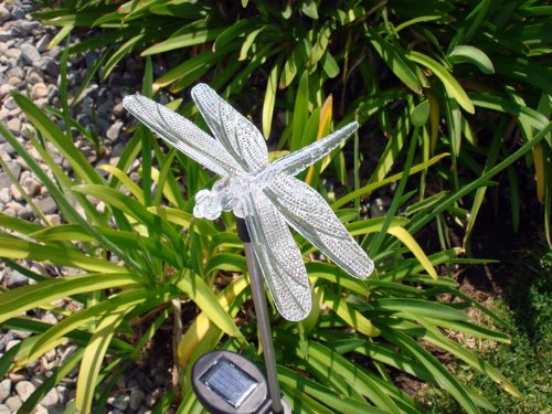 Solar Powered Dragonfly Garden Stake Lights - 2 Pack Color Changing & White LED Outdoor Path Lights for Walkway, Yard, Patio Decor | Weatherproof Landscape Lighting for Garden, Lawn, Pathway