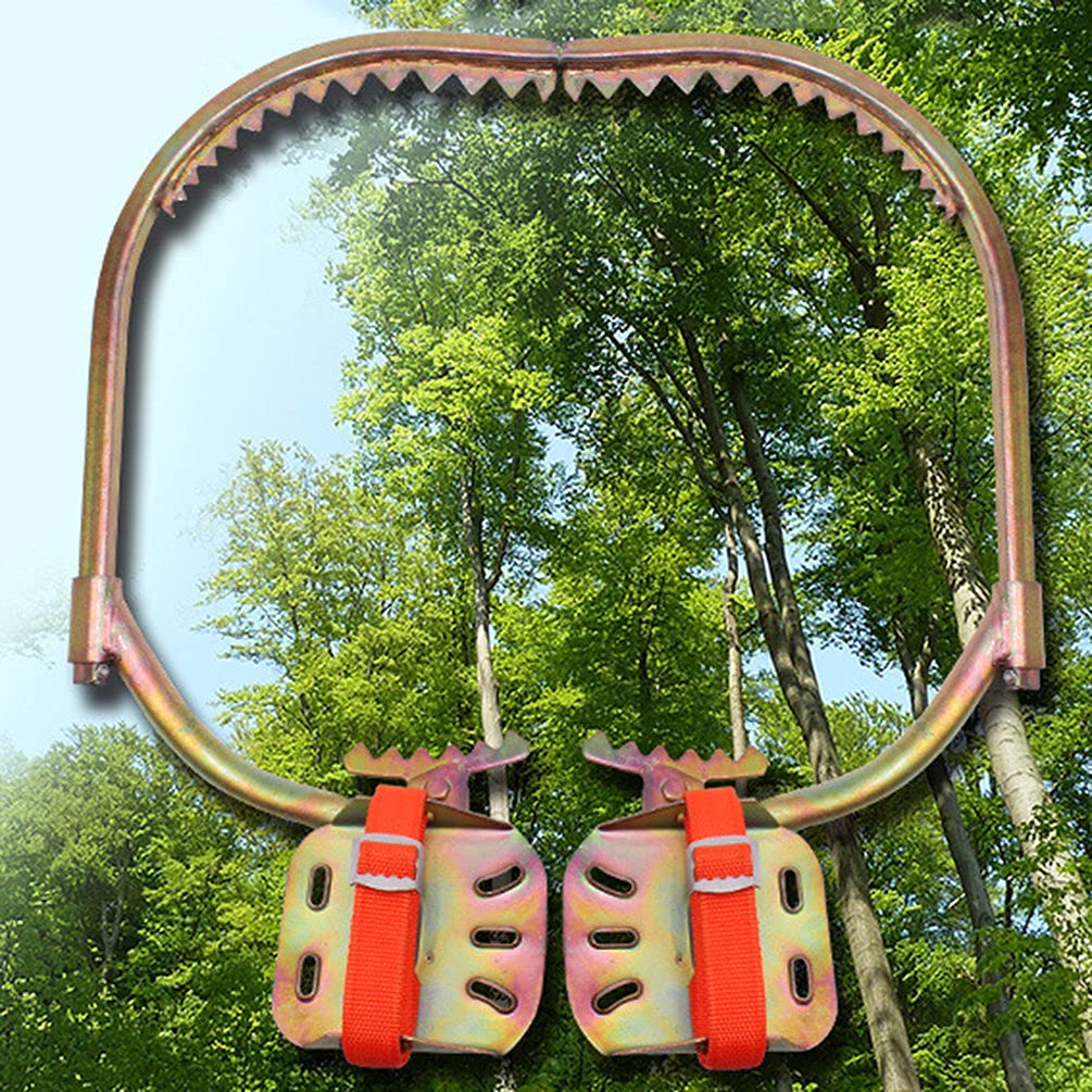Professional Tree Climbing Spikes & Pole Climbing Gear Kit - Model 600 for Arborists, Hunters & Fruit Harvesting | Ideal for Tree Work, Hunting Observation, Coconut & Fruit Picking | Durable & Easy to Use Outdoor Climbing Equipment