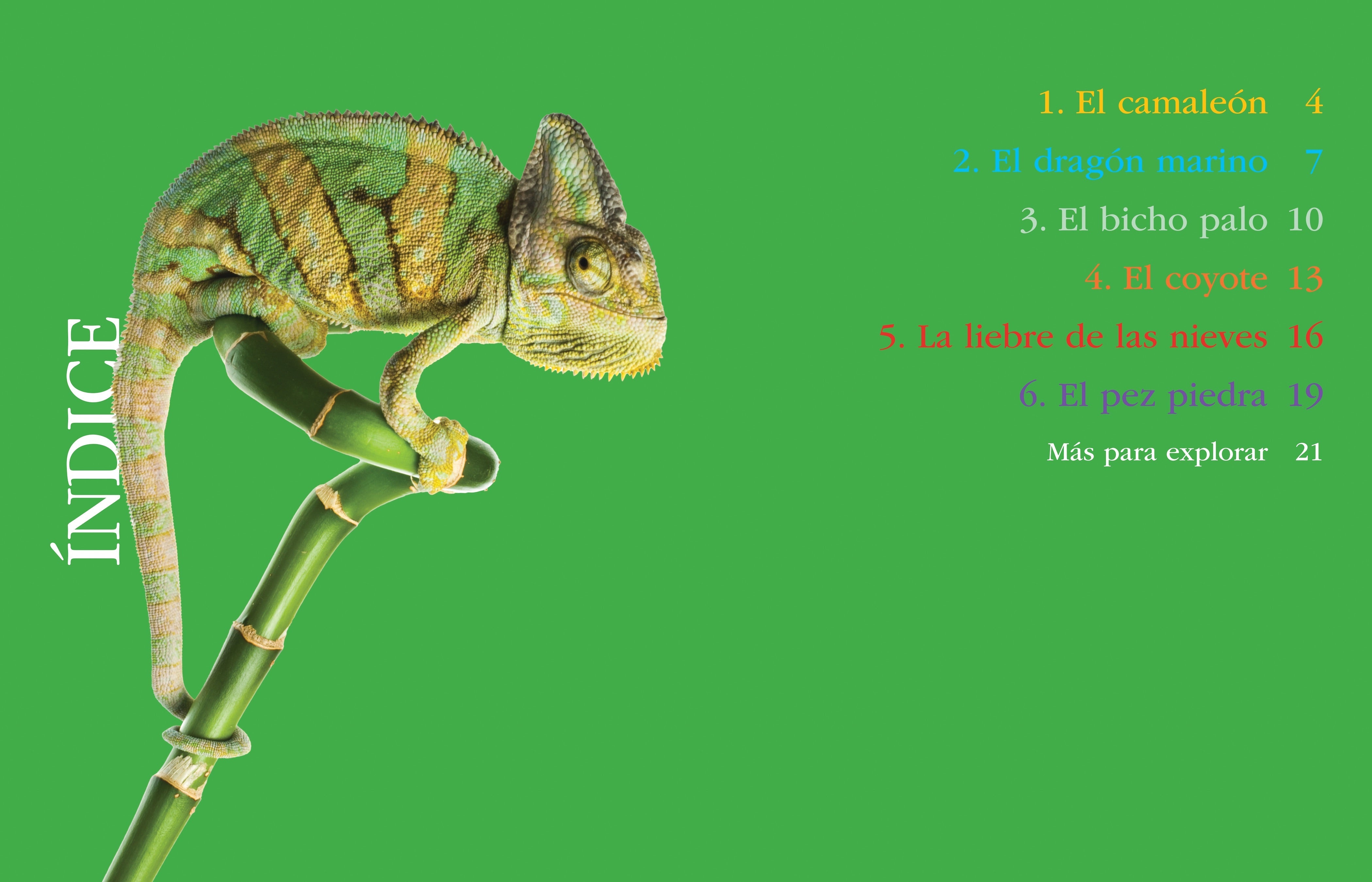 Best Camouflaged Animals - Discover Nature's Masters of Disguise | Perfect for Wildlife Enthusiasts & Nature Photography