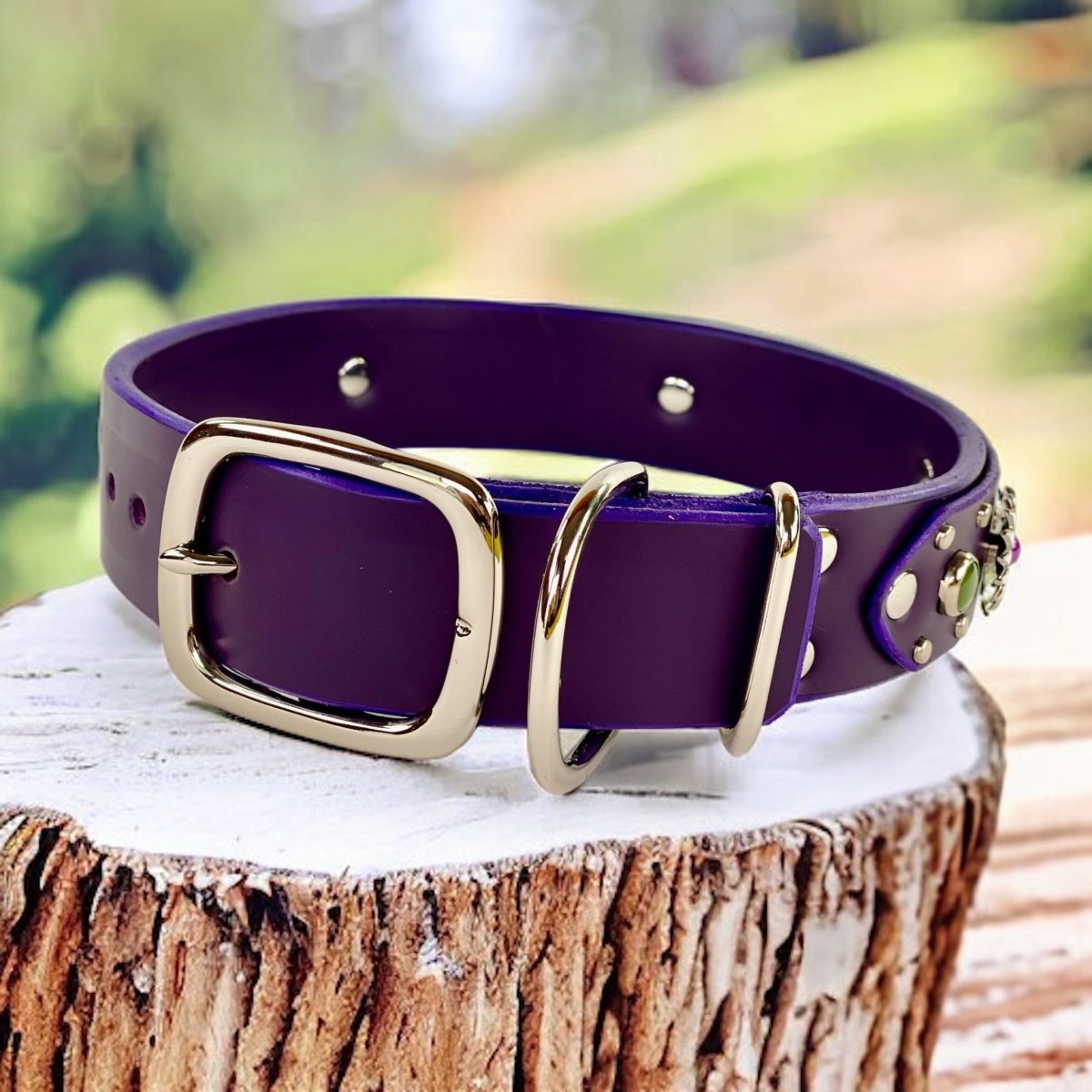 Premium Purple Dog Collar - Kalina Soft Nylon Pet Collar with D-Ring | Perfect for Walking, Training & Outdoor Adventures