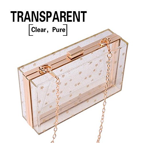 Women's Acrylic Transparent Gold Star Evening Clutch Purse - Vintage Banquet Handbag for Parties, Weddings & Formal Events (Clear)