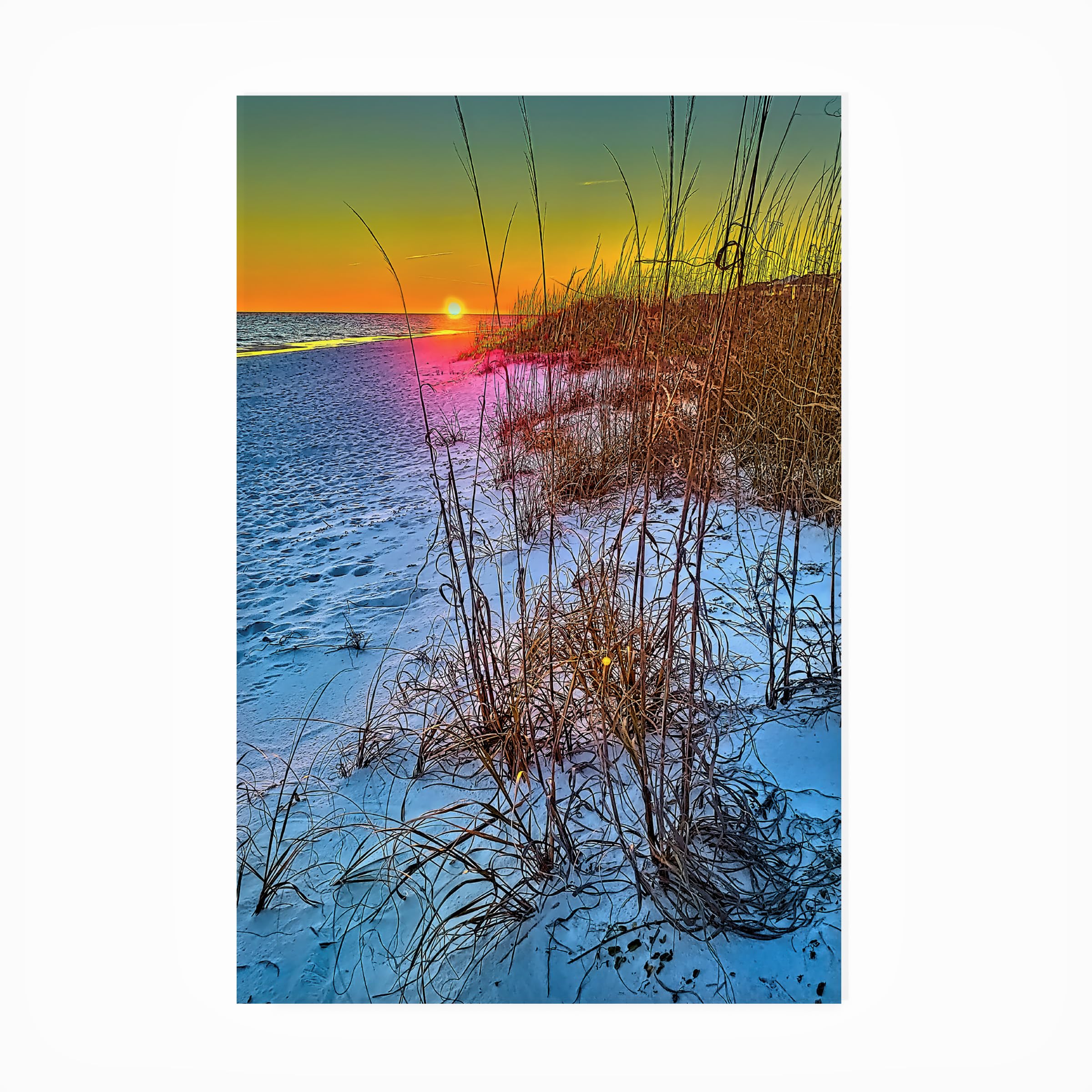 Martin Fine Photography 'Florida Beach 28' Waterproof Outdoor Wall Art - Coastal Decor for Living Room, Bedroom & Beach House