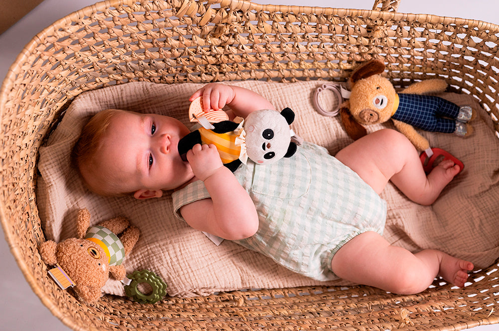 Daniel Activity Toy for Babies & Toddlers - Montessori Learning & Sensory Play - Perfect for Daycare, Nursery, and Home Playtime