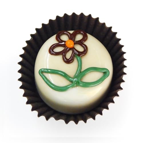 Vanilla/Chocolate