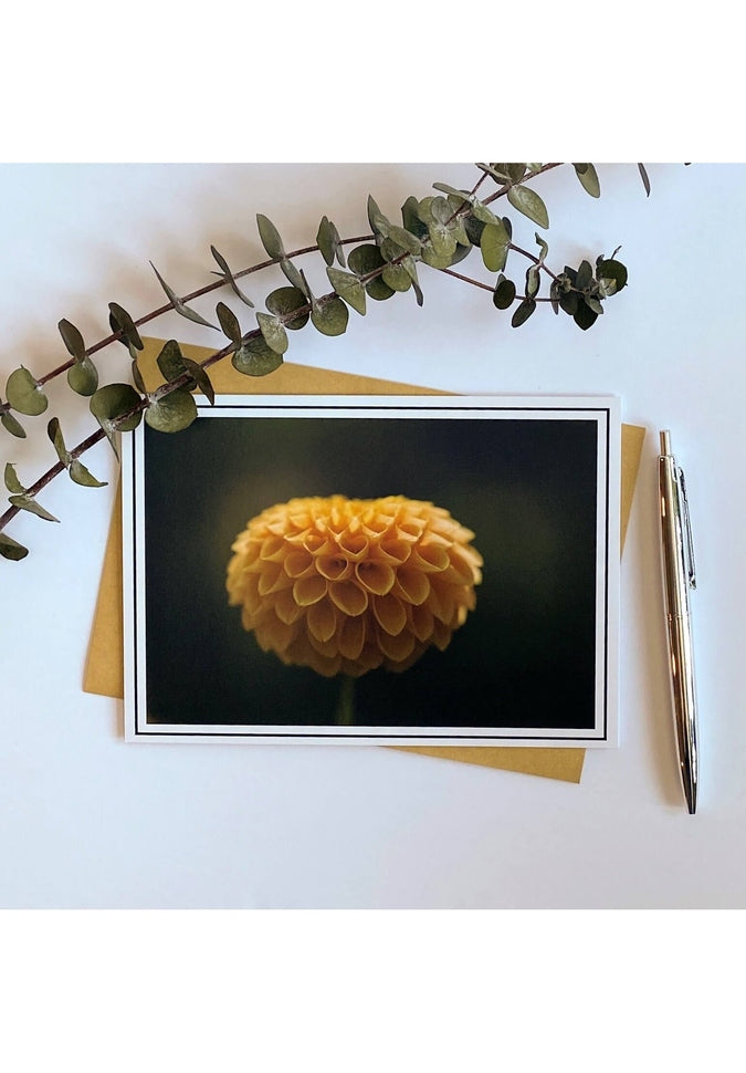 From My Angle Photography Notecards - Beautiful Photo Greeting Cards for Thank You, Birthday & Holidays | Perfect for Gifts, Invitations & Personal Notes