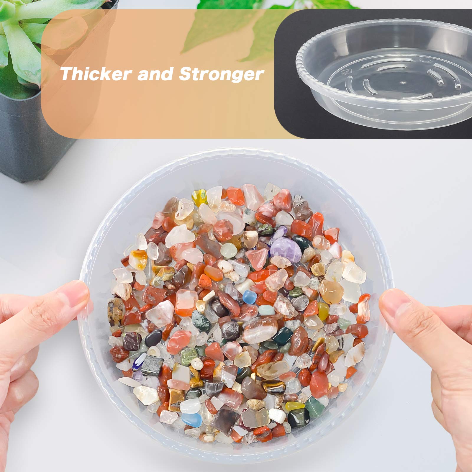 6 Inch Clear Plastic Plant Saucers - 6 Pack Thick Drip Trays for Indoor Flower Pots, No Holes - Perfect for Houseplants, Potted Plants & Plant Stand Protection
