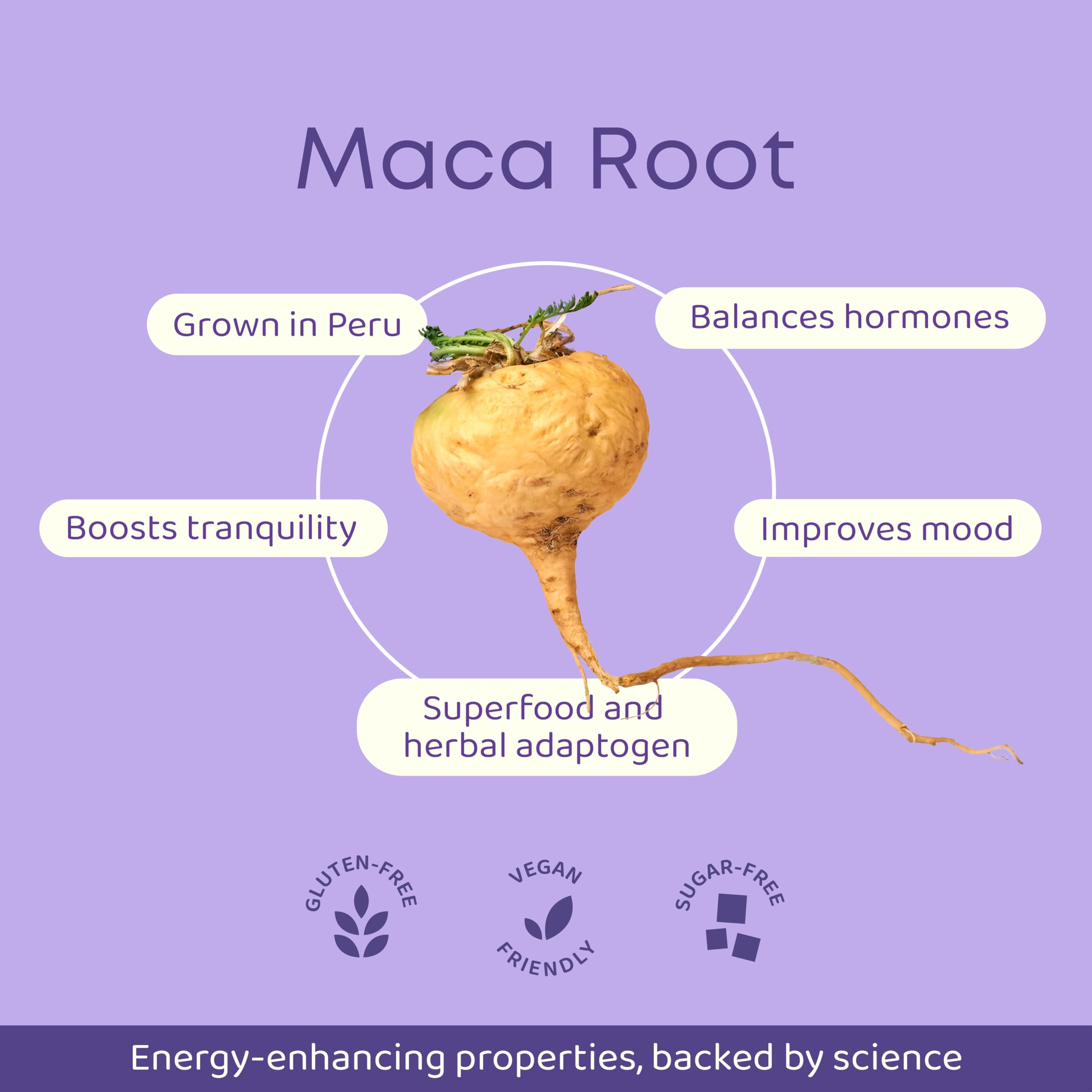 Organic Maca Root Powder - Peruvian Maca Supplement for Energy & Vitality - Natural Vanilla Flavor - Boost Coffee & Smoothies - Supports Hormonal Balance & Stamina - Ideal for Busy Professionals & Fitness Enthusiasts