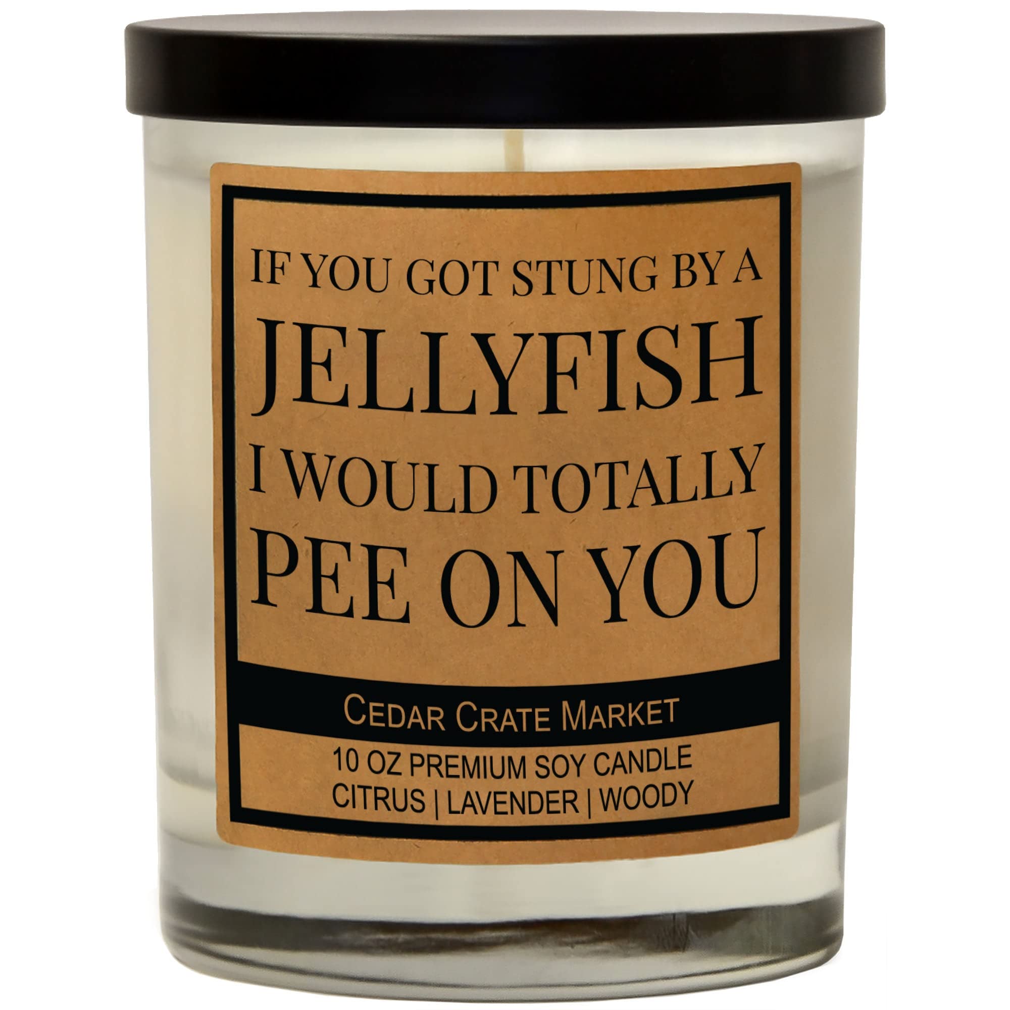 Funny Friendship Candle Gift for Women - 'If You Got Stung by A Jellyfish I Would Totally Pee On You' Scented Soy Candle (10 oz) | Birthday Gifts for Best Friends, Humorous Home Decor & Relaxing Aromatherapy for Spa Nights