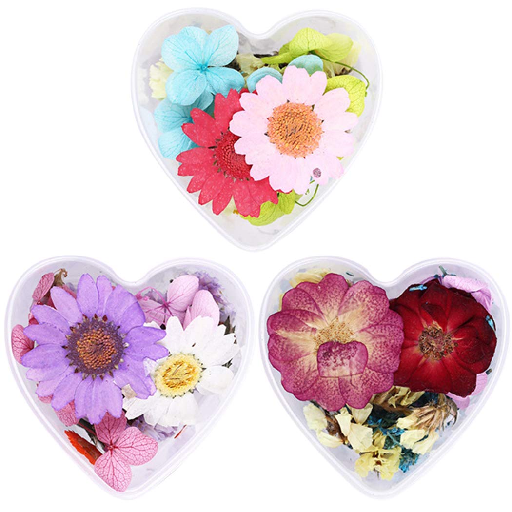 SOWUNO 3 Box Pressed Flower Nail Art Kit - 3D Mini Dried Flowers for Nail Decoration, DIY Crafts, Scrapbooking & Home Decor | Perfect for Wedding, Party & Gift Giving