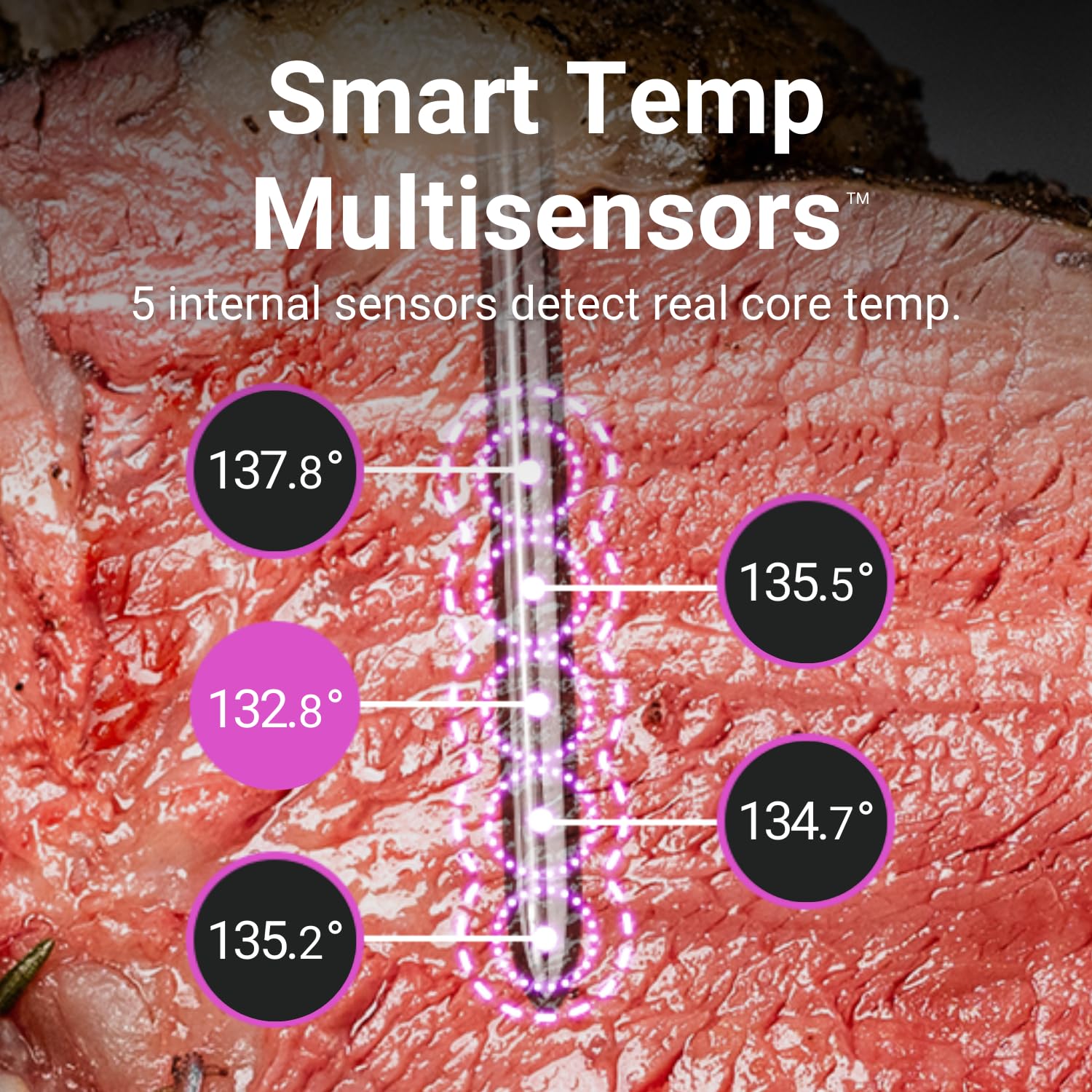 MEATER Pro Smart Bluetooth Wireless Meat Thermometer with 1000°F Heat Resistance | Long Range Digital Cooking Thermometer | Certified Accurate for BBQ, Grill, Oven, Smoker, Air Fryer & Deep Fryer | Includes Free Recipe App for Perfect Steak, Chicken & Turkey | Ideal for Backyard Grilling, Holiday Cooking & Restaurant Use