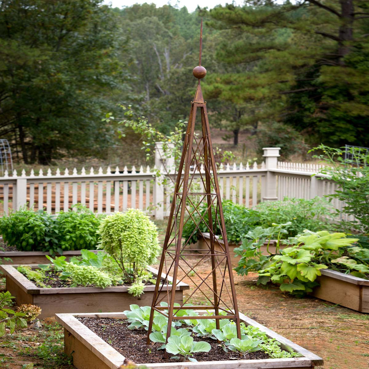 Sturdy Metal Garden Trellis for Climbing Plants - Outdoor Vine Support for Roses, Ivy & Flowers - Perfect for Garden, Patio & Backyard Decor