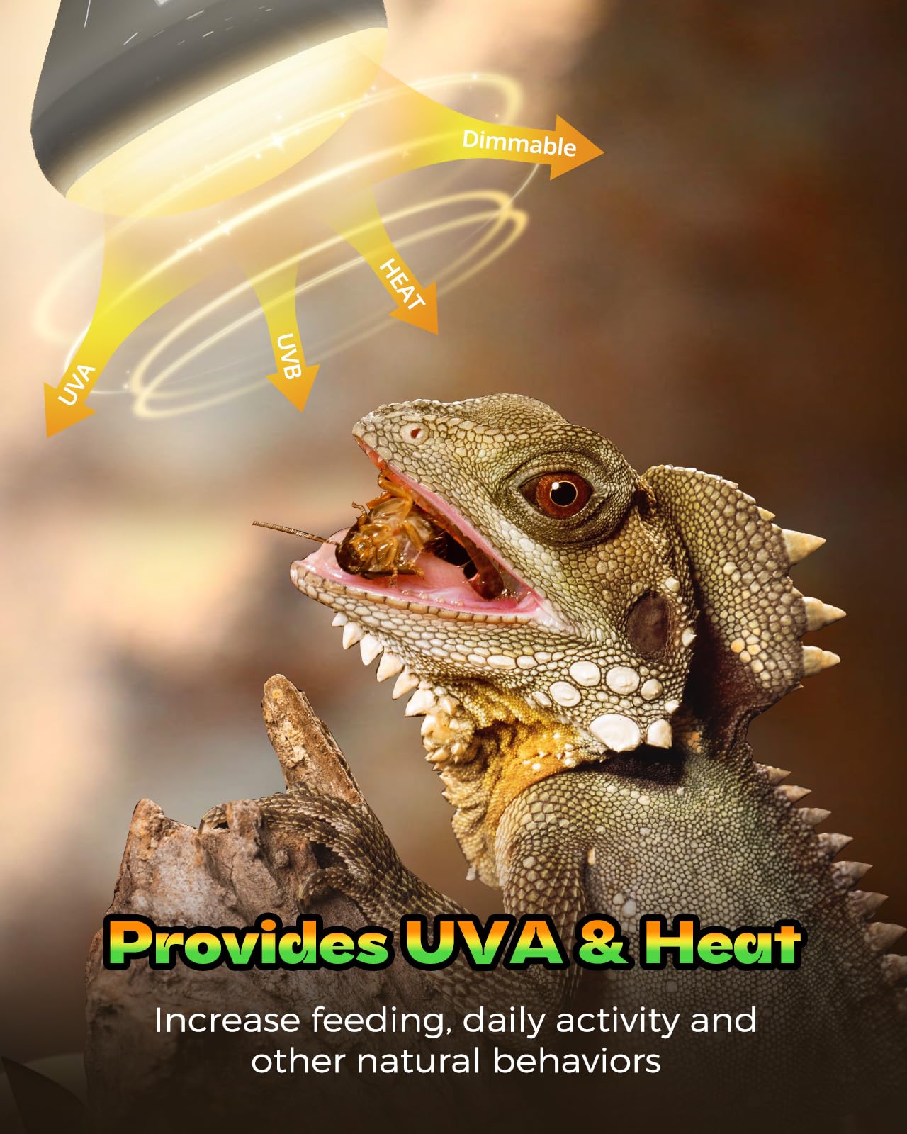 100W Reptile Heat Lamp 2 Pack - UVA Daylight Basking Bulbs for Bearded Dragons, Lizards, Turtles & Chickens | Ideal for Terrariums, Vivariums & Coop Heating
