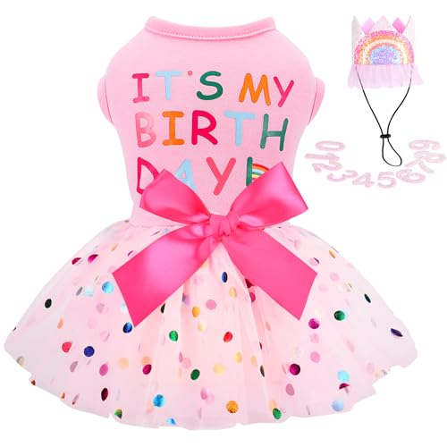 Birthday dress set